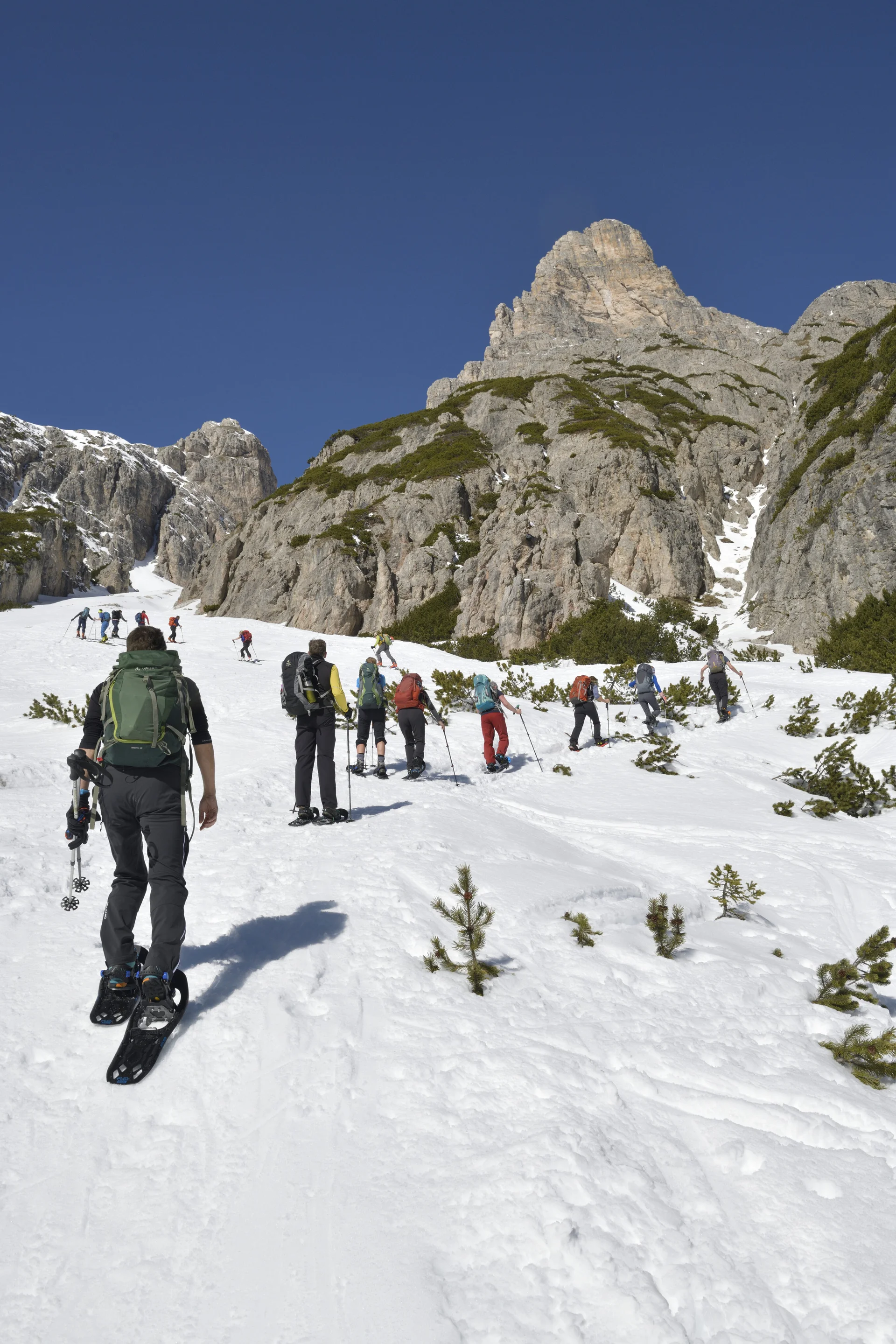 © Paulus van den Bouven