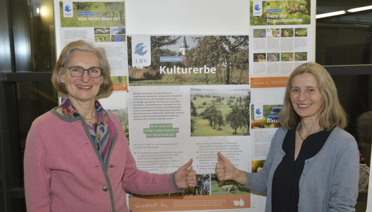 © Paul van den Boomen