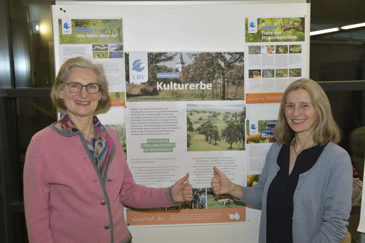 © Paul van den Boomen