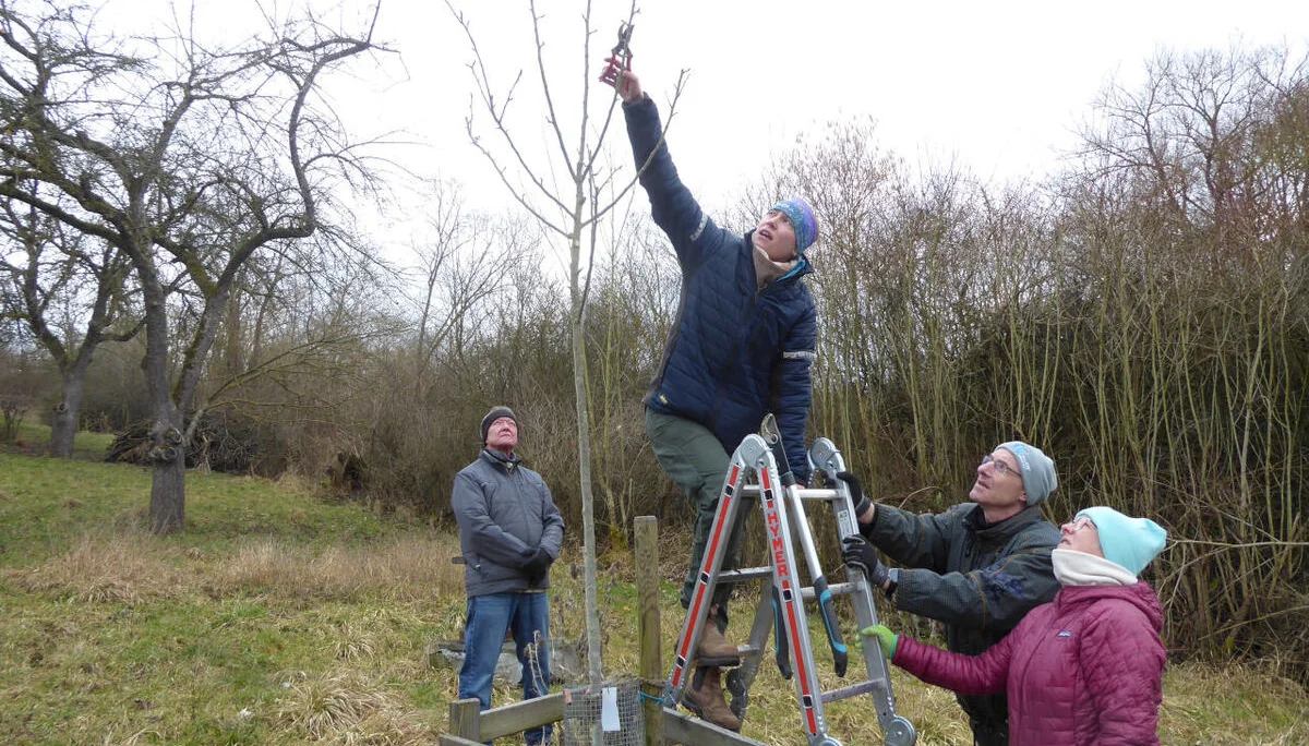 © Gertrud Bittl-Dinger