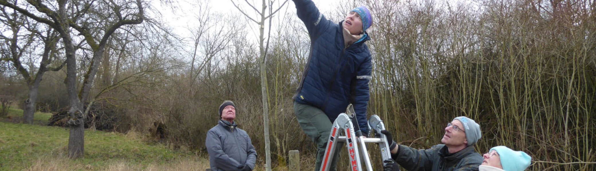 © Gertrud Bittl-Dinger