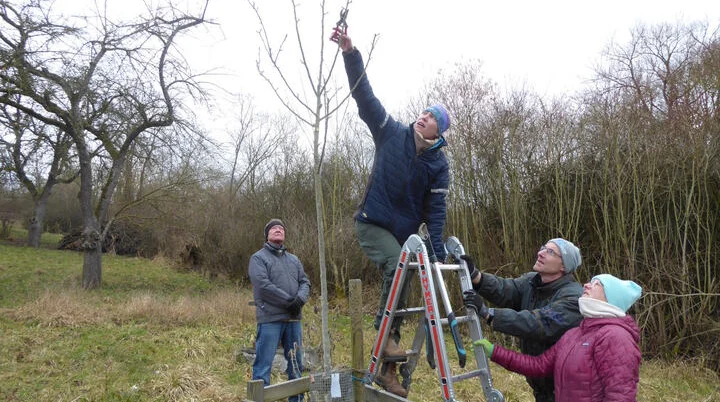 © Gertrud Bittl-Dinger