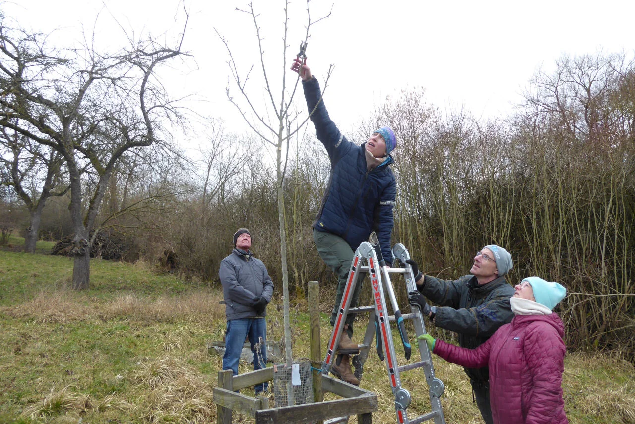 © Gertrud Bittl-Dinger