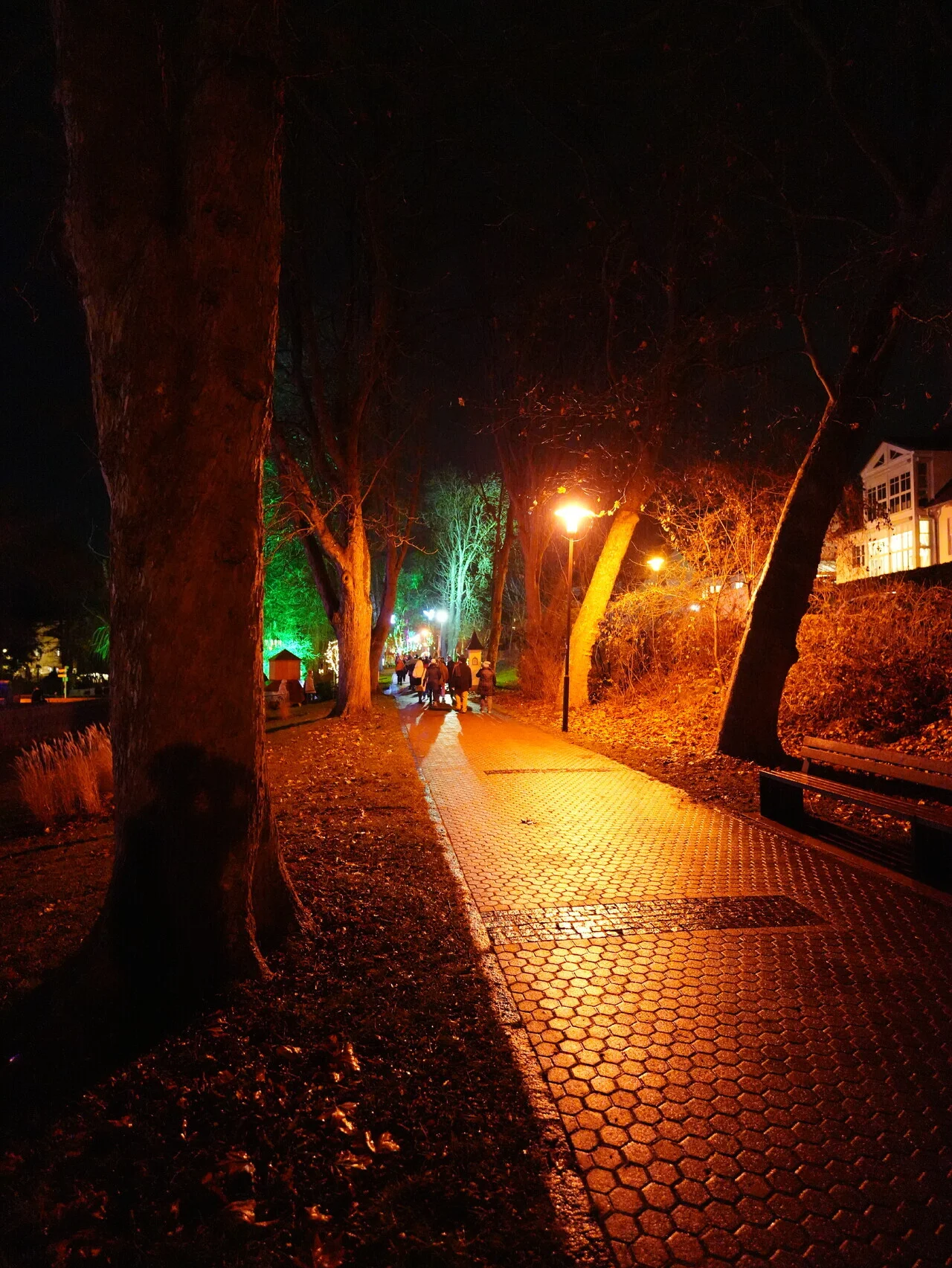 Adventswanderung 2025 | © Martin Zänker