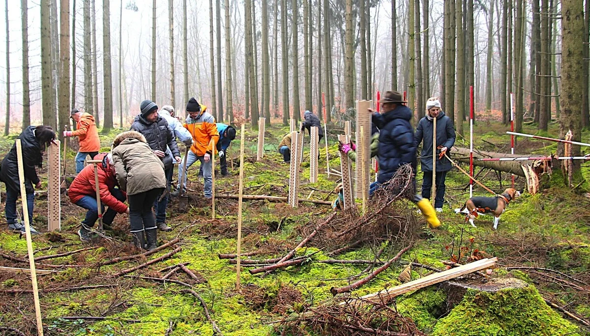 © Manfred Schurr / DAV Donauwörth