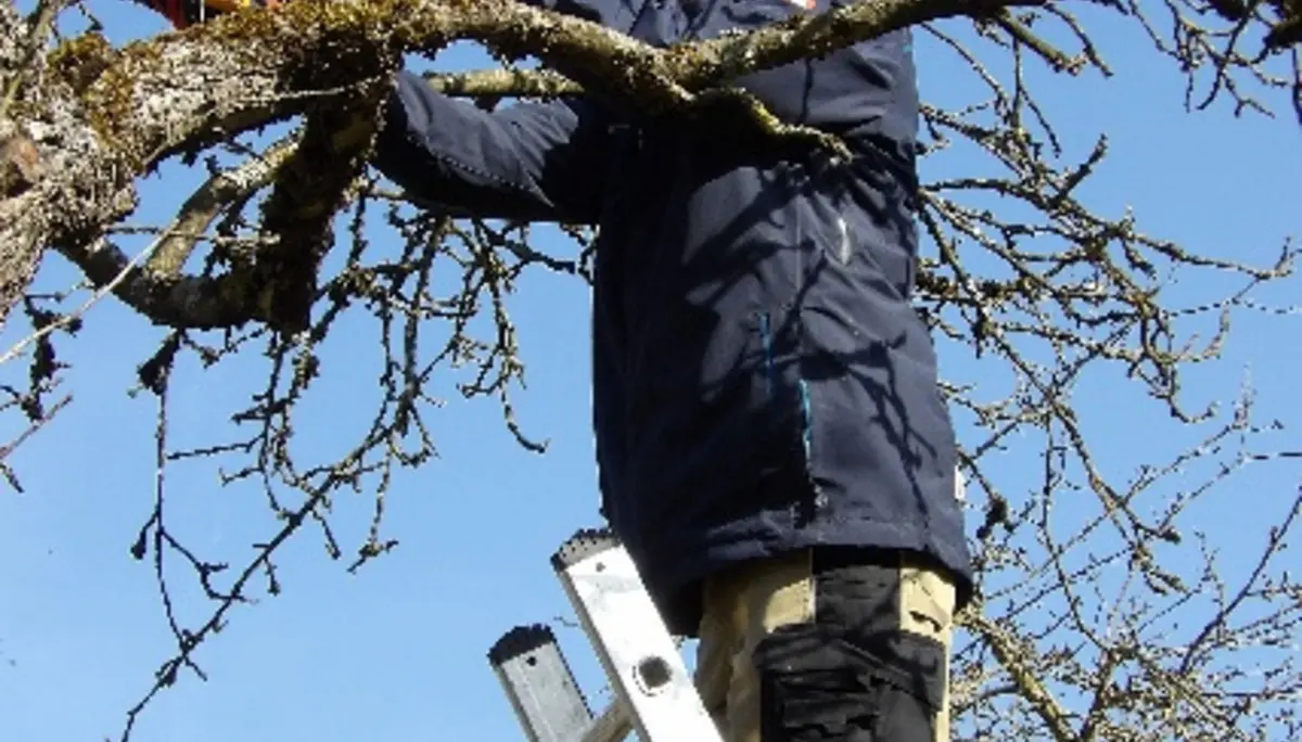 © Claudia Reichenbacher