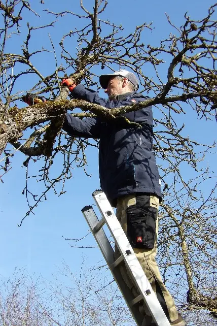 © Claudia Reichenbacher