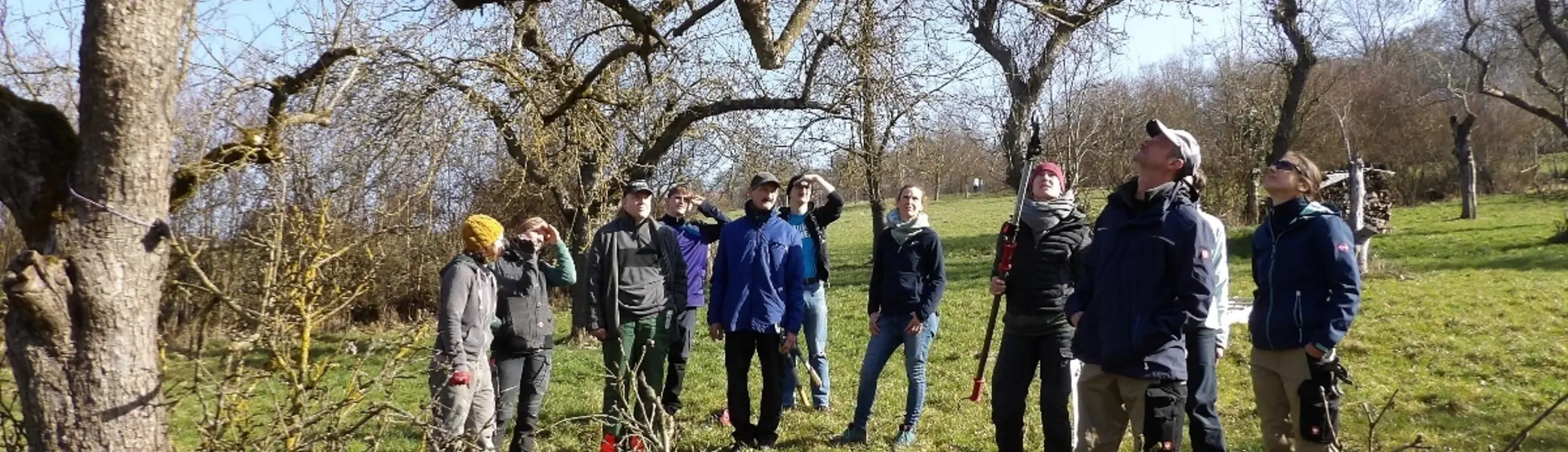 © Claudia Reichenbacher