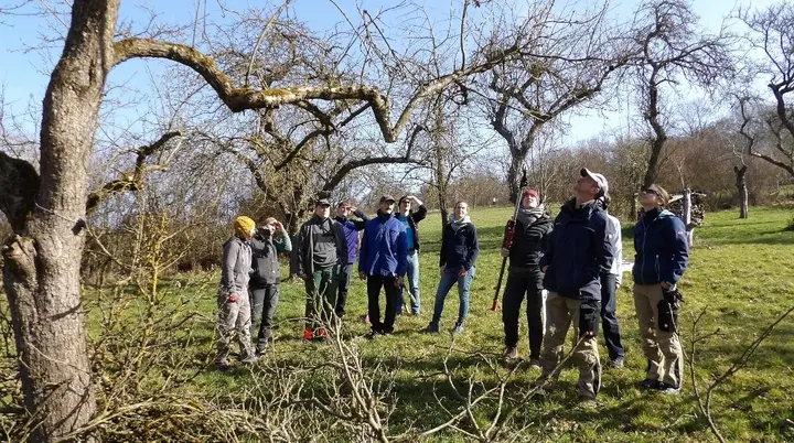 © Claudia Reichenbacher