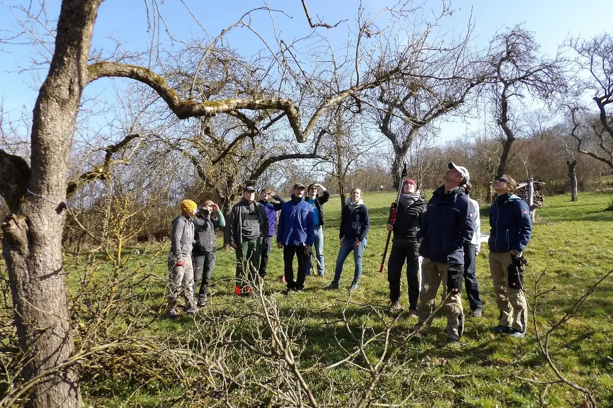 © Claudia Reichenbacher