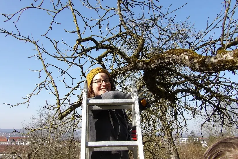 © Claudia Reichenbacher