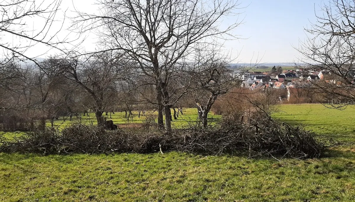 © Gertrud Bittl-Dinger