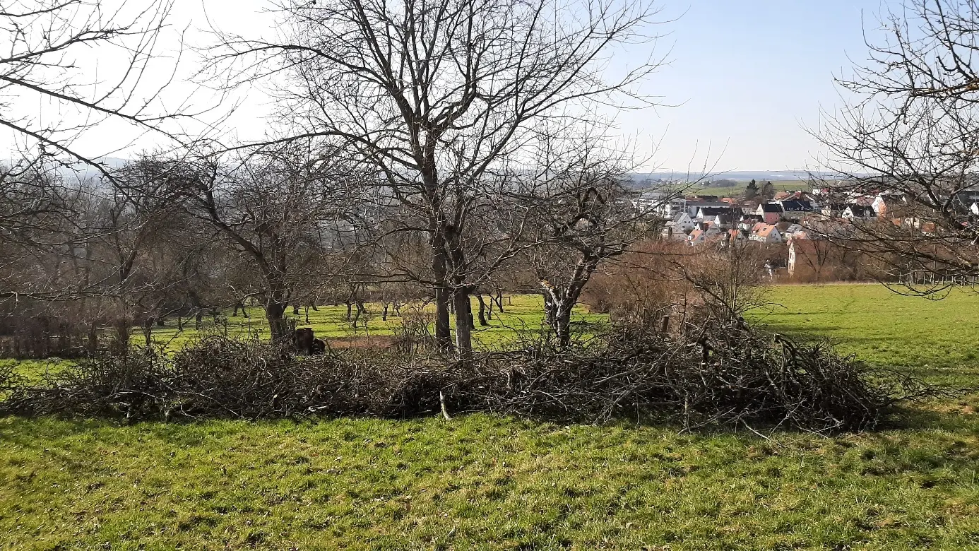 © Gertrud Bittl-Dinger