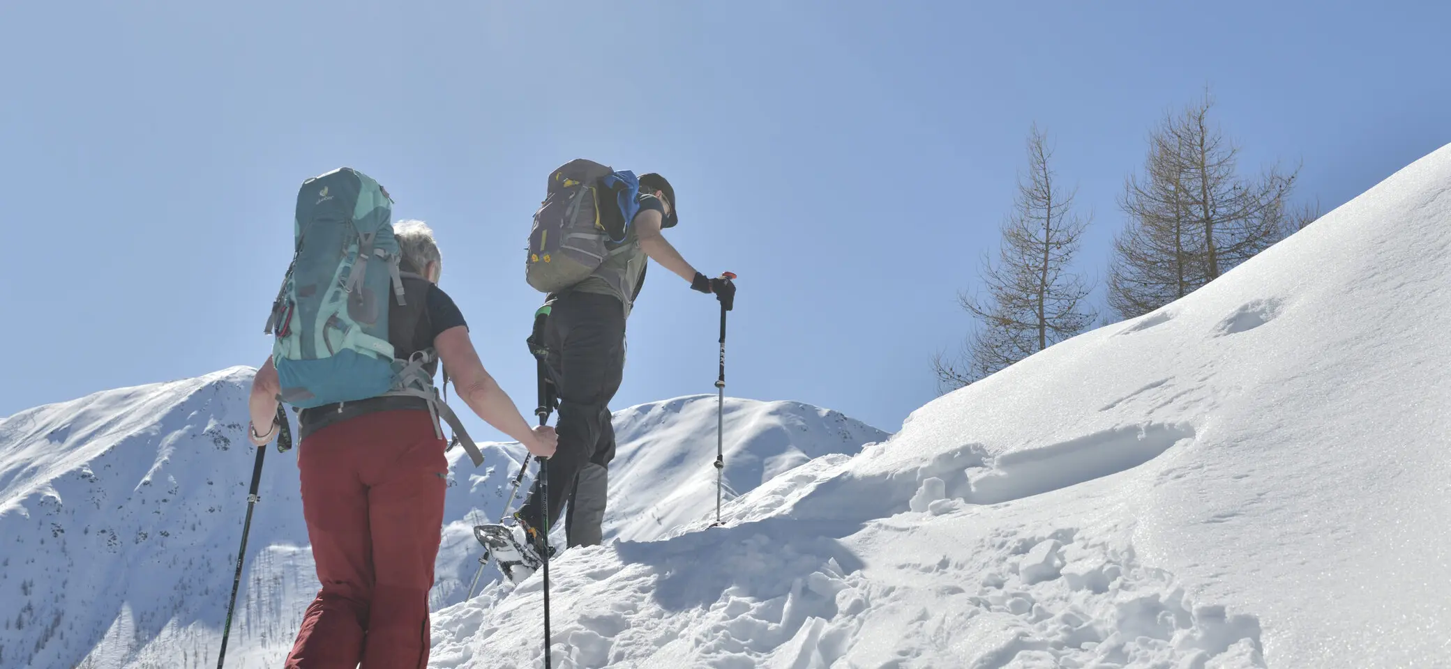 © Paulus van den Bouven