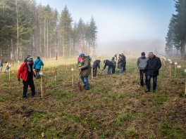 Fotos Baumpflanzaktion - Klimawoche 2021_1