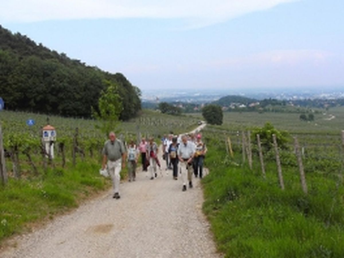 Besuch Perchtoldsdorf 2012