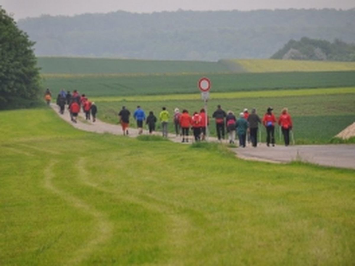 Nordic Walking Event 2012_1