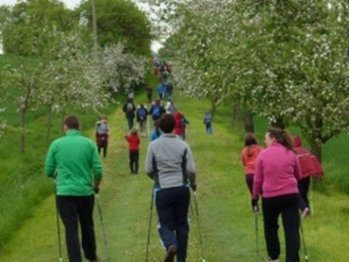 Nordic Walking Event 2013_10