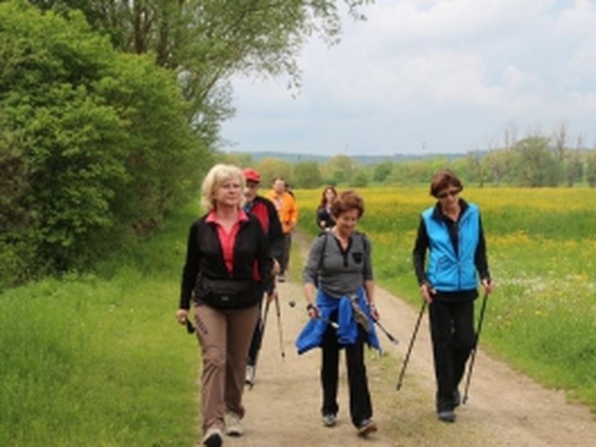 Nordic Walking Event 2013_34