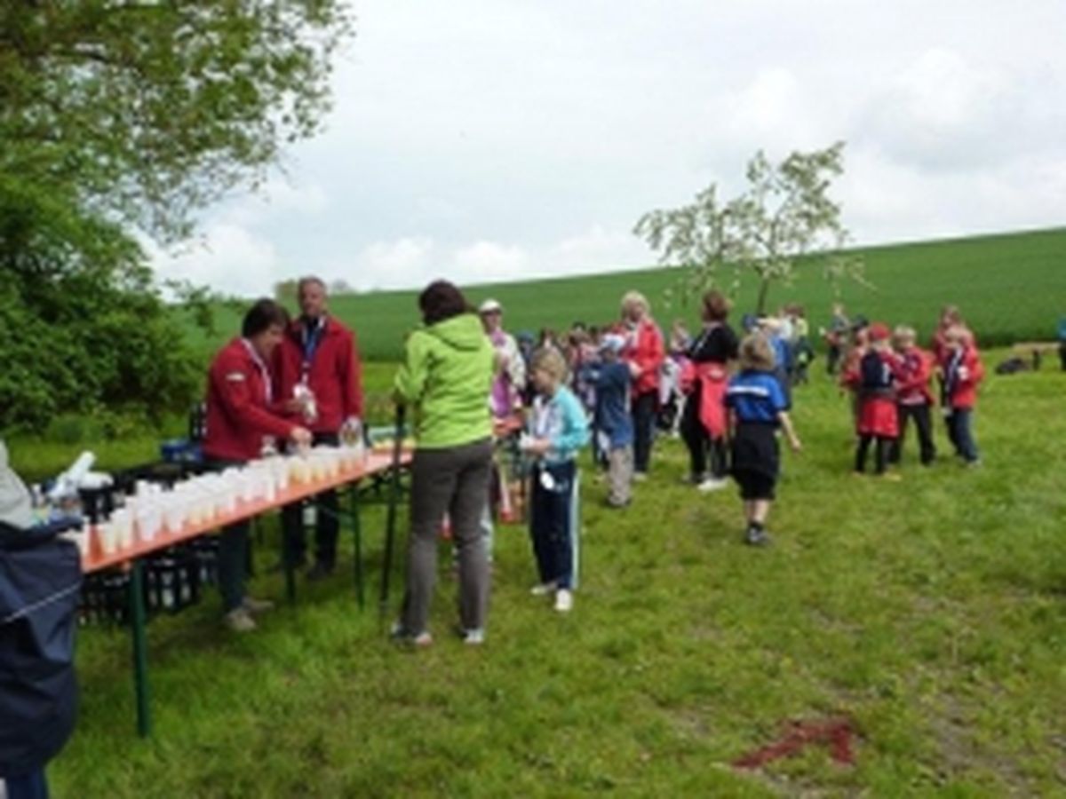 Nordic Walking Event 2013_8