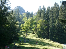 Wanderung Pürschlinghaus 2016