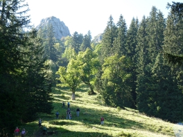 Wanderung zum Pürschlinghaus 2016_2