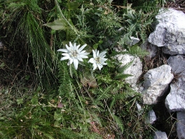 Bergsport Sommer