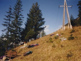 Wandern + Bergwandern + Hochtouren