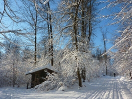 Winter wonderland Edelweißweg 2012