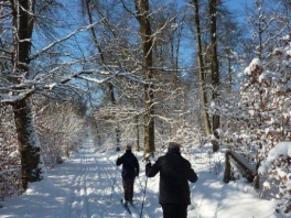 Winter wonderland Edelweißweg 2012