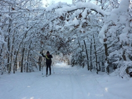 Winter wonderland Edelweißweg 2012