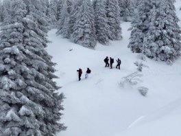 SKIBERGSTEIGEN