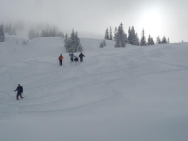 Kombitour | Ski und Schneeschuh