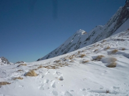 Schneidspitze_19