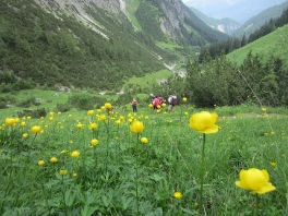 Bergtouren Allgäuer Alpen 2015