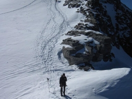 Hochtour Rheinwaldhorn_1