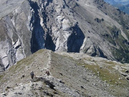 Hochtour Rheinwaldhorn_28