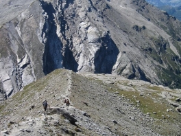 Hochtour Rheinwaldhorn_28