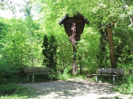 Edelweißweg im Donauwörther Stadtwald_11