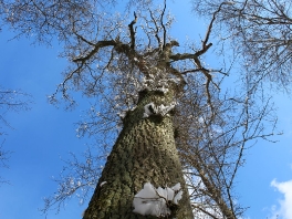 Edelweißweg Donauwörth-Hafenreut