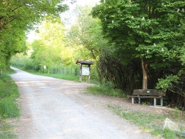 Edelweißweg im Donauwörther Stadtwald_1