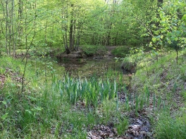 Edelweißweg Donauwörth-Hafenreut