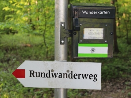 Edelweißweg im Donauwörther Stadtwald_2