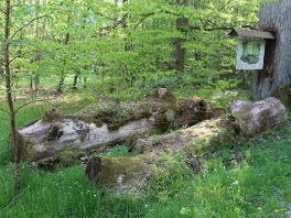 Edelweißweg Donauwörth-Hafenreut