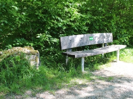 Edelweißweg im Donauwörther Stadtwald_7