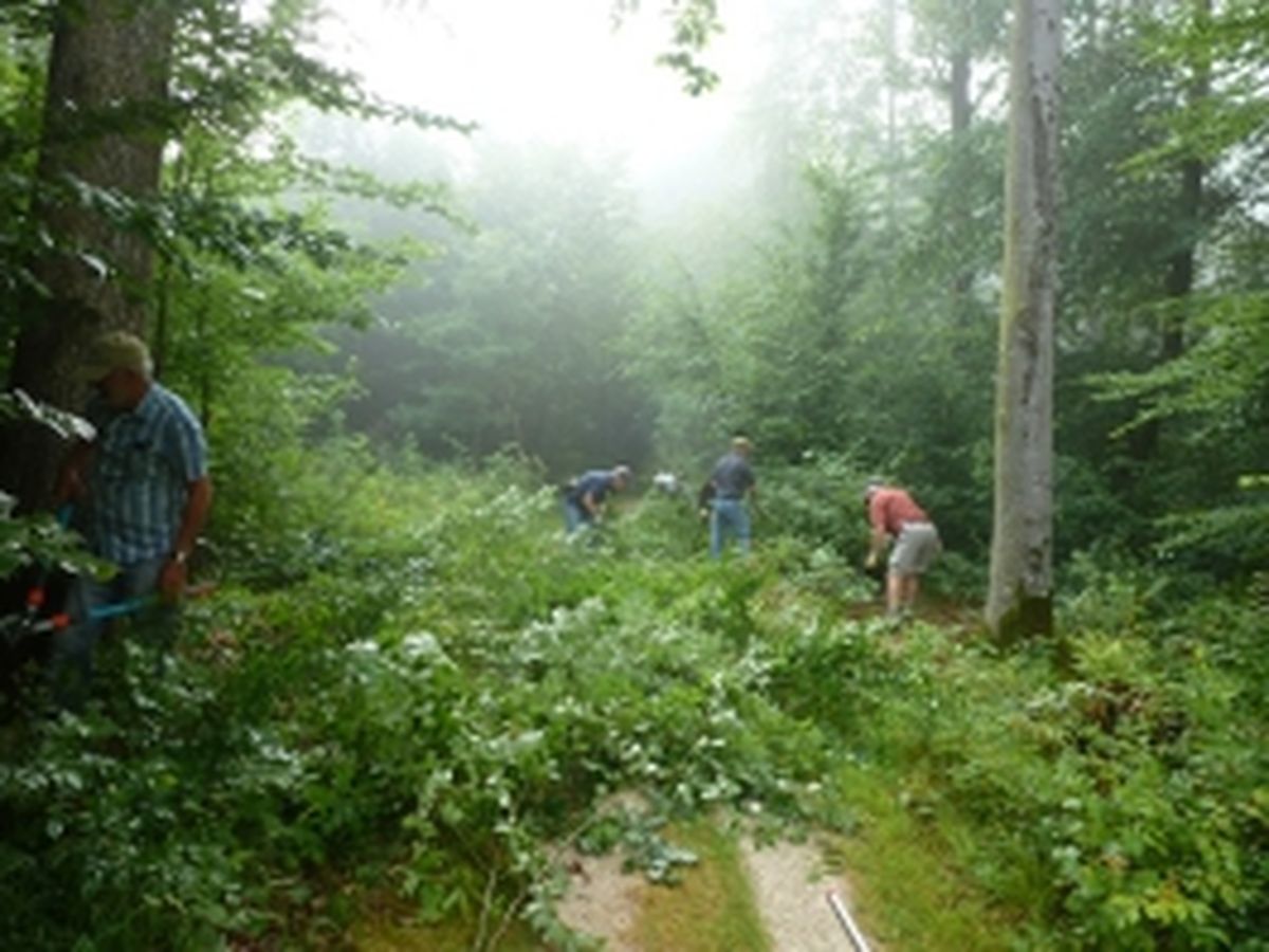 Pflege Edelweißweg 2013