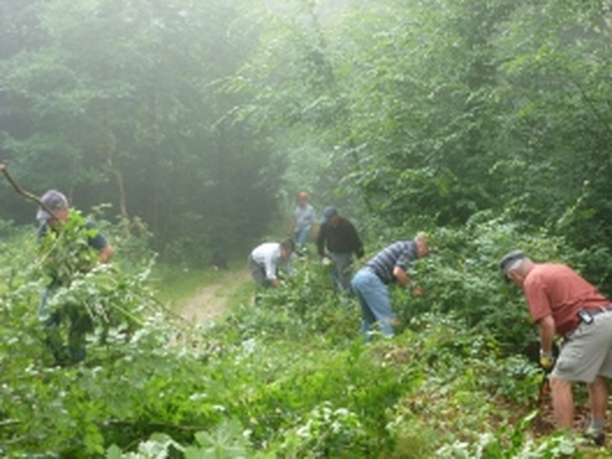 Pflege Edelweißweg 2013_4