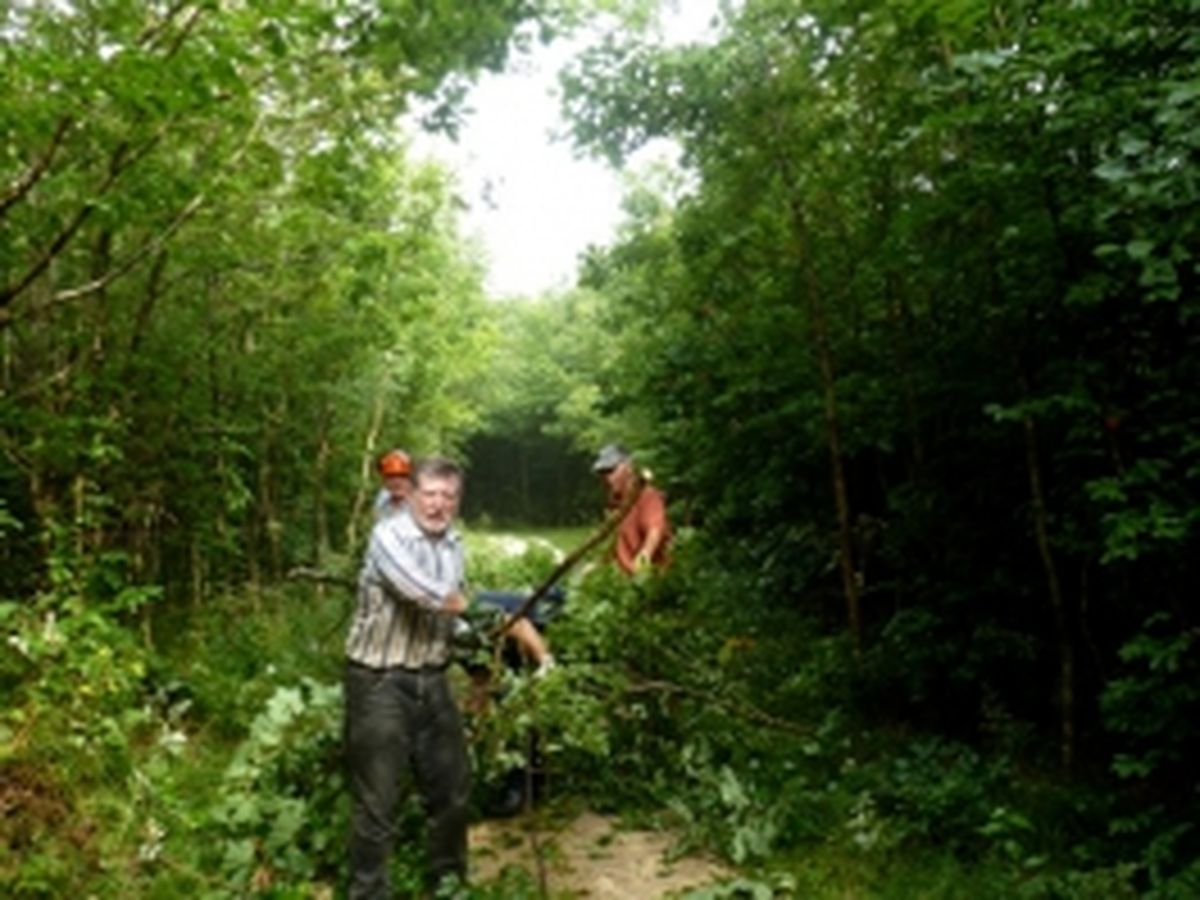 Pflege Edelweißweg 2013