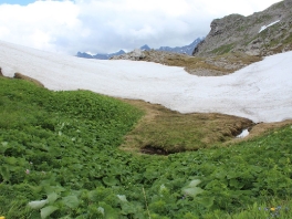 Tour Jochbachtal-Hornbachjoch 20211